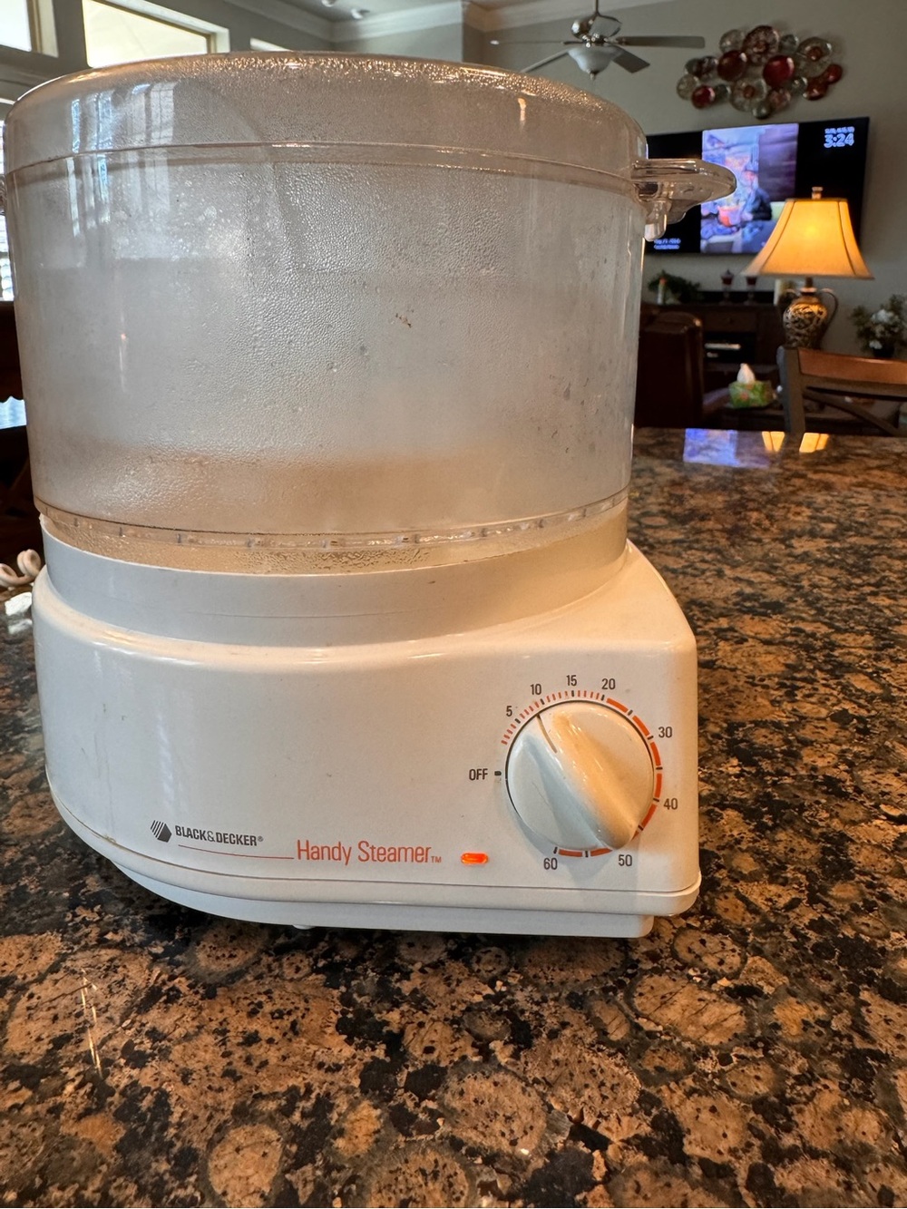Black & Decker White and Clear Handy Steamer with Timer Dial